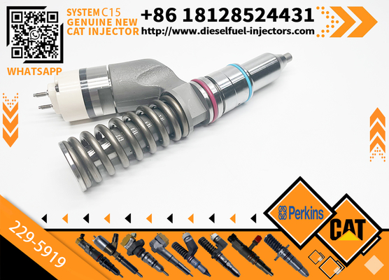 Excavator Injector 10R1000 10R-1000 2295919 229-5919 For C15 Engine Parts Diesel Nozzle Assembly