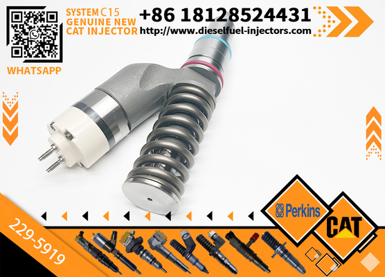 Excavator Injector 10R1000 10R-1000 2295919 229-5919 For C15 Engine Parts Diesel Nozzle Assembly